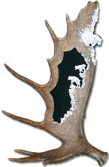 Elk Antler Carving